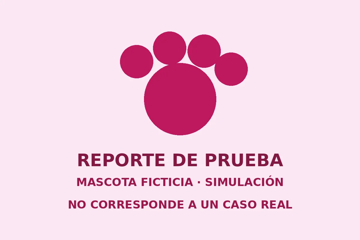 Evidencia del reporte